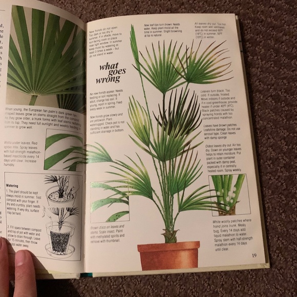 House Plant Trouble Shooter Book ( 3 for $20) - Picture 3 of 3